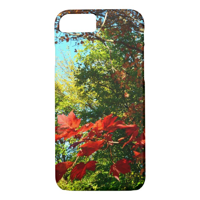 Coques Case-Mate iPhone Érable japonais en automne (Dos)