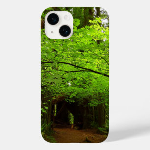 Coque Pour iPhone 14 Érables dans la forêt de séquoias