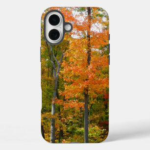 Coques iPhone 16 Plus Érables en automne Photographie de la nature