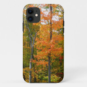 Coque Case-Mate Pour iPhone Érables en automne Photographie de la nature