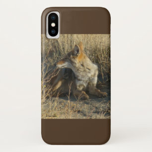 Coques Pour iPhone Éraflure du coyote R16