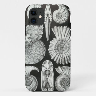 Coques Pour iPhone Ernst Haeckel - Ammonitida