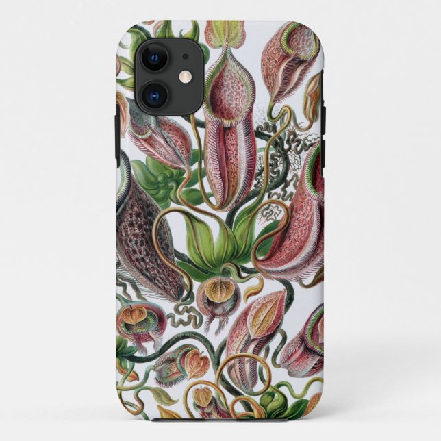 Coques Case-Mate iPhone Ernst Haeckel Kunstformen der Natur Nepenthaceae P (Dos)