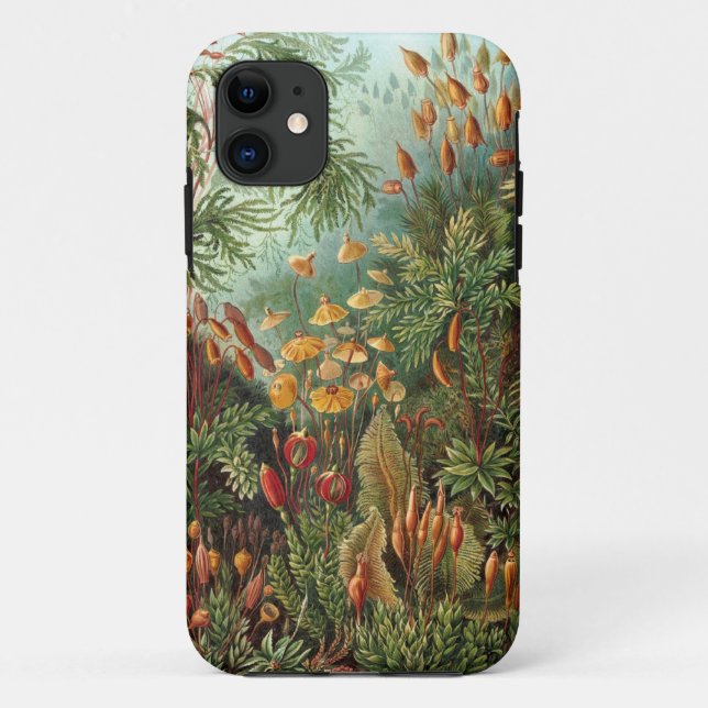Coques Case-Mate iPhone Ernst Haeckel - Muscinae (Dos)