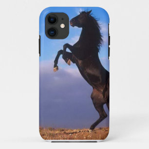 Etui iPhone Case-Mate Étalon noir sauvage élevant le cheval