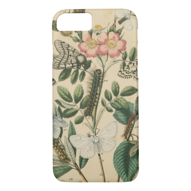 Coques Case-Mate iPhone Étapes de la vie des papillons par Vision Studio (Dos)