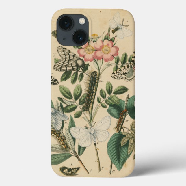 Coques Case-Mate iPhone Étapes de la vie des papillons par Vision Studio (Verso)
