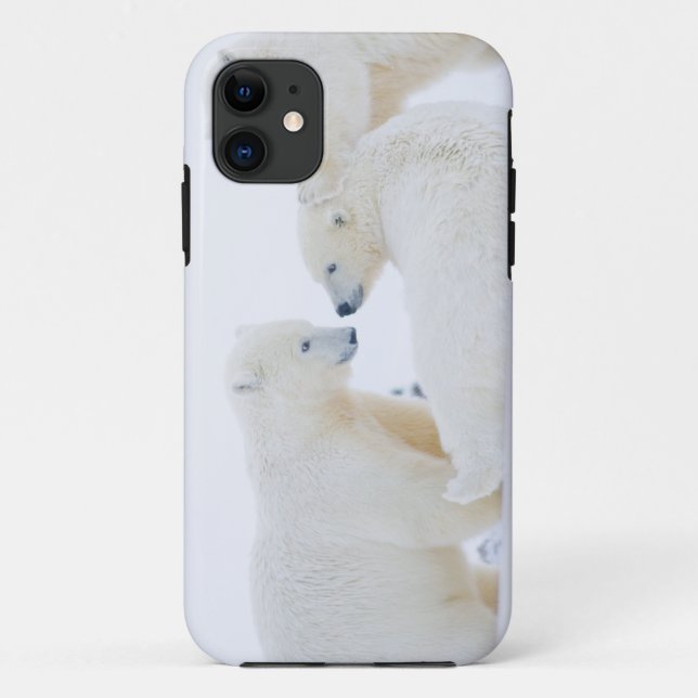 Coques Case-Mate iPhone États-Unis, Alaska, 1002 Plaine côtière de l'Arcti (Dos)
