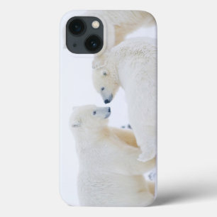 iPhone 13 Coque États-Unis, Alaska, 1002 Plaine côtière de l'Arcti