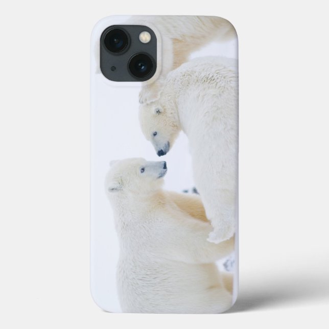 Coques Case-Mate iPhone États-Unis, Alaska, 1002 Plaine côtière de l'Arcti (Verso)