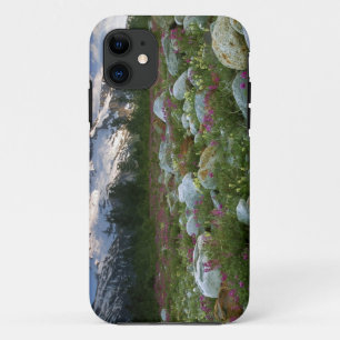 Coques Pour iPhone États-Unis, Alaska, Alsek-Tatshenshini Wilderness.