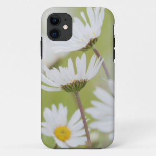 Coque iPhone 11 États-Unis, Alaska, Glacier Bay National Park