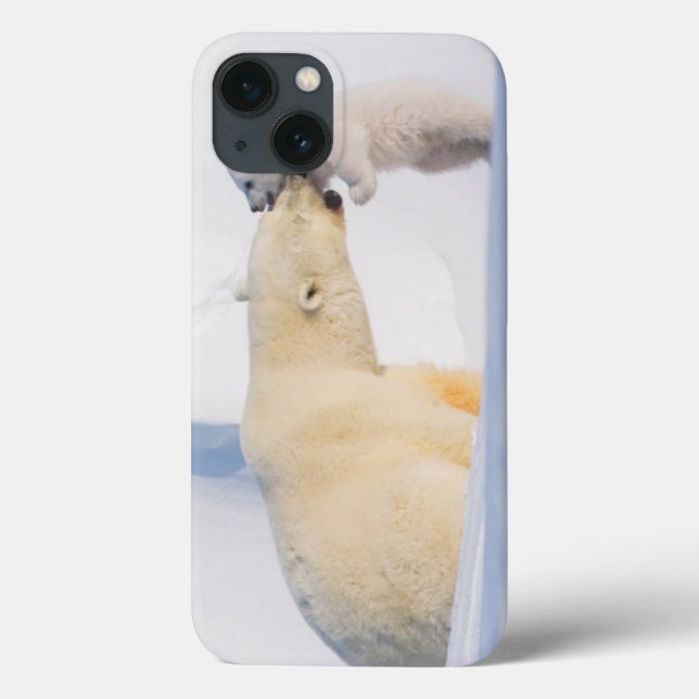 Coques Case-Mate iPhone États-Unis, Alaska, North Slope | Ours polaires (Verso)