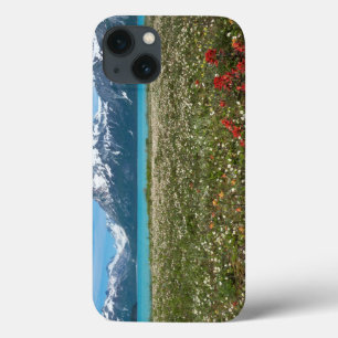 Coques Pour iPhone États-Unis, Alaska, Parc national de Glacier Bay 2