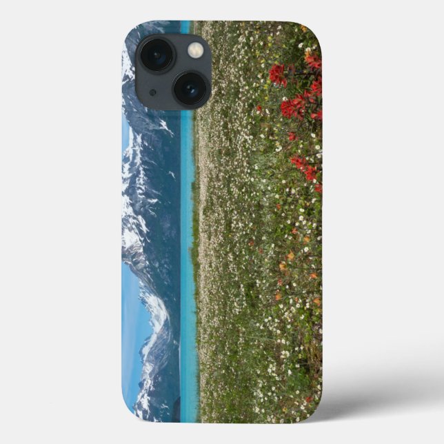 Coques Case-Mate iPhone États-Unis, Alaska, Parc national de Glacier Bay 2 (Verso)