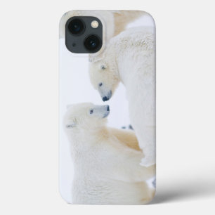 Etui iPhone Case-Mate États-Unis, Alaska, plaine côtière de l'Arctique 1
