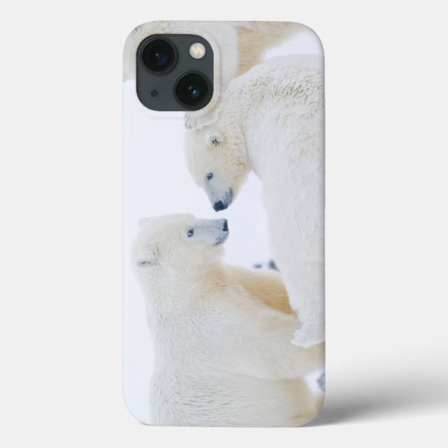 Coques Case-Mate iPhone États-Unis, Alaska, plaine côtière de l'Arctique 1 (Verso)