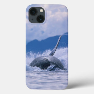 Etui iPhone Case-Mate États-Unis, Alaska, Tongass National Forest, Bossu