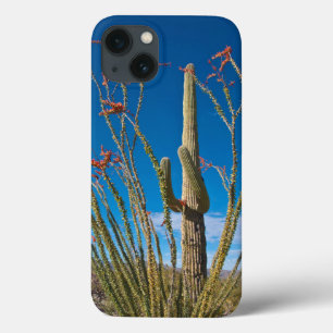 iPhone 13 Coque États-Unis, Arizona. Cactus dans le parc national