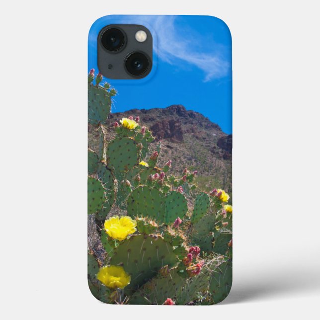 Coques Case-Mate iPhone États-Unis, Arizona. Cactus dans les collines (Verso)