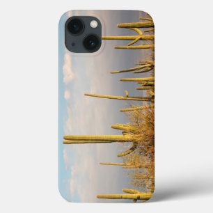 iPhone 13 Case États-Unis, Arizona, Parc national de Saguaro, Sag