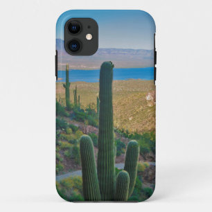 Case-Mate iPhone Case États-Unis, Arizona. Vue depuis l'entrée de Tonto