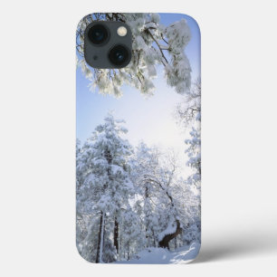 Coques Pour iPhone États-Unis, Californie, Cleveland National Forest,