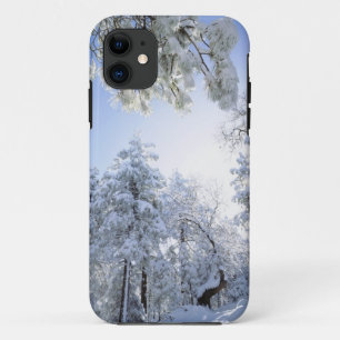Coques Pour iPhone États-Unis, Californie, Cleveland National Forest,