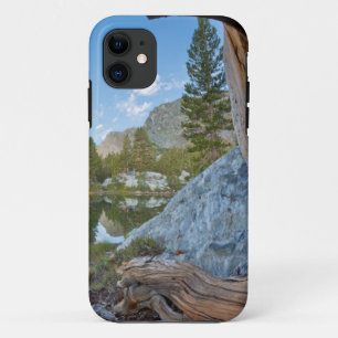 Coque Case-Mate iPhone États-Unis, Californie, forêt nationale d'Inyo.