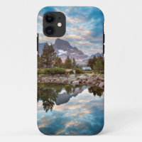 États-Unis, Californie, Forêt nationale d'Inyo 15
