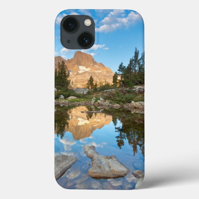 Coques Case-Mate iPhone États-Unis, Californie, Forêt nationale d'Inyo. 2 (Verso)
