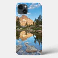 États-Unis, Californie, Forêt nationale d'Inyo. 2