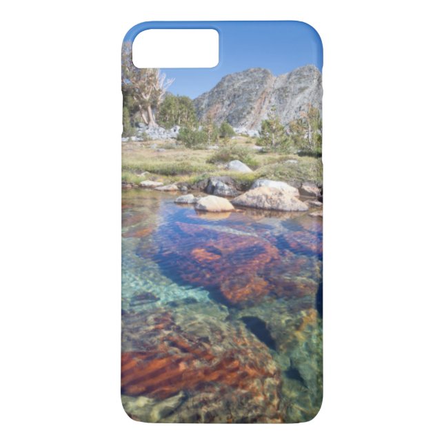 Coques Case-Mate iPhone États-Unis, Californie, Forêt nationale d'Inyo 4 (Dos)