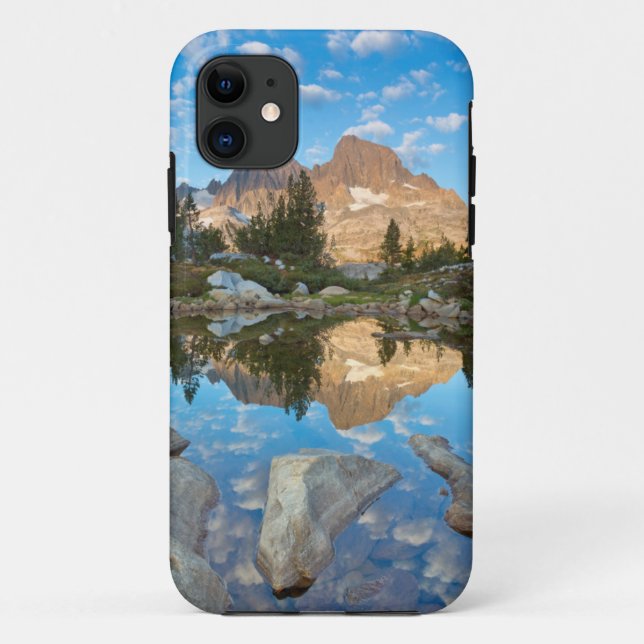 Coques Case-Mate iPhone États-Unis, Californie, Forêt nationale d'Inyo 5 (Dos)