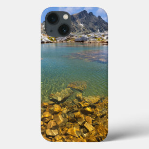 Coque Case-Mate iPhone États-Unis, Californie, Forêt nationale d'Inyo 8