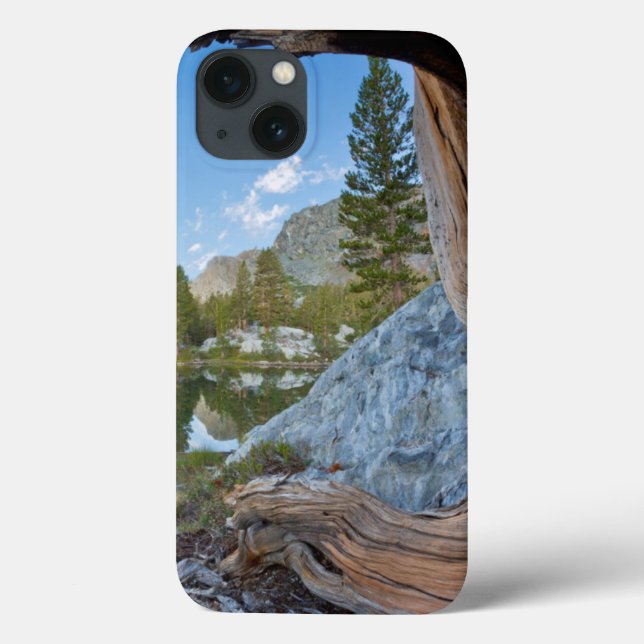 Coques Case-Mate iPhone États-Unis, Californie, Forêt nationale d'Inyo. An (Verso)