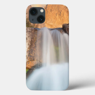 iPhone 13 Case États-Unis, Californie, Forêt nationale d'Inyo. Ca