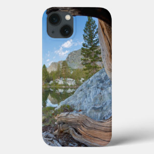 iPhone 13 Coque États-Unis, Californie, Forêt nationale d'Inyo. Vi