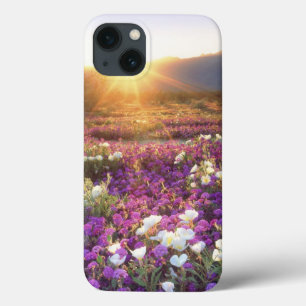 iPhone 13 Case États-Unis, Californie, Parc d'État du désert d'An