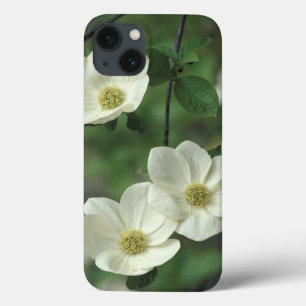 Case-Mate iPhone Case États-Unis, Californie, Parc national de Yosemite,