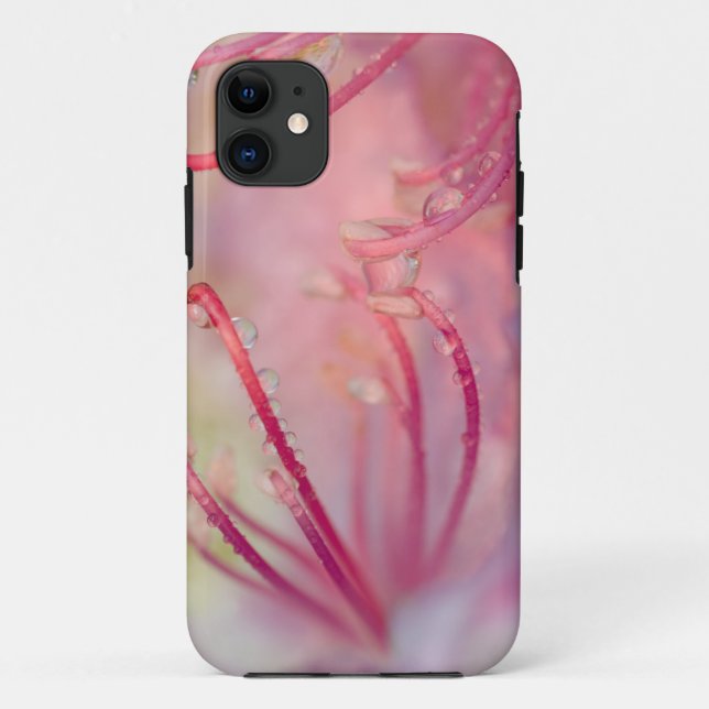 Coques Case-Mate iPhone États-Unis, Caroline du Nord. Rhododendron de Cata (Dos)