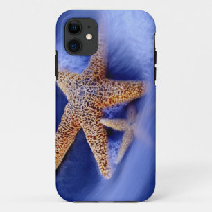Coque Case-Mate Pour iPhone États-Unis, Caroline du Sud, île de Hilton Head. D