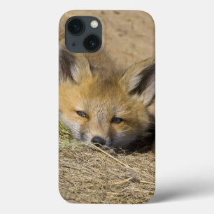 Etui iPhone Case-Mate États-Unis, Colorado, Breckenridge. Alerte renard