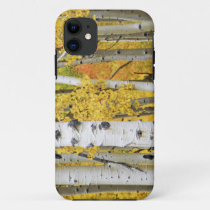 Coque iPhone 11 États-Unis, Colorado, montagnes Rocheuses.  Aspec