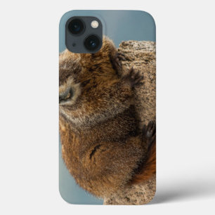 Coque Case-Mate iPhone États-Unis, Colorado, Montagnes San Juan 2