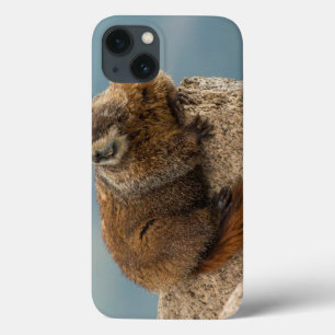 iPhone 13 Coque États-Unis, Colorado, Monts San Juan 2