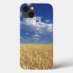 Coque Case-Mate iPhone États-Unis, État de Washington, Colfax. Blé mûr