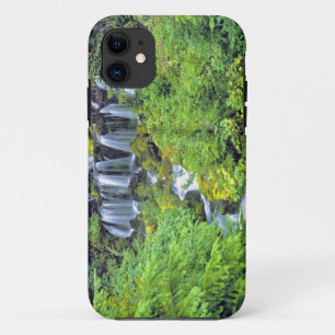 Coque iPhone 11 États-Unis, État de Washington, Mt Adams Wildernes