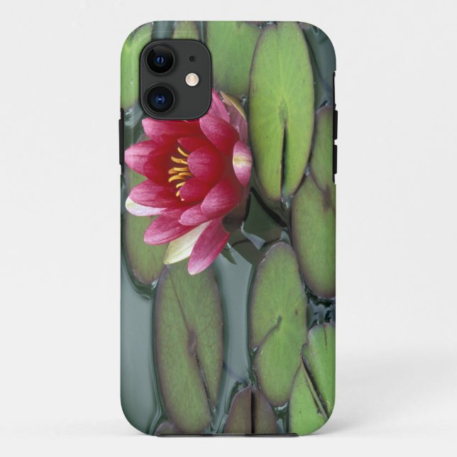 Coques Case-Mate iPhone États-Unis, État de Washington, Seattle. Nénuphar  (Dos)