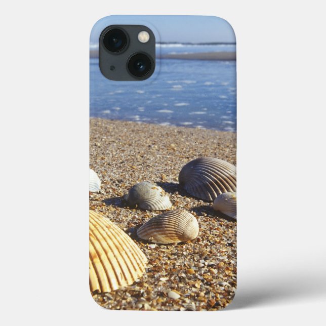 Coques Case-Mate iPhone États-Unis, Floride, coquillages côtiers (Verso)